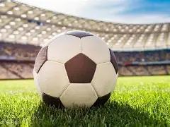 独行侠助黄,蜂止步五连,欧文揽,ManBetX,万博,万博体育入口,万博官网,万博体育APP下载