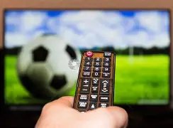 布里斯班足,球盛宴,极端比分震,ManBetX,万博,万博体育入口,万博官网,万博体育APP下载